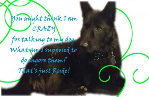 FB_IMG_1625948577855