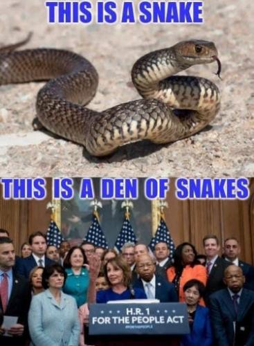 democrats454