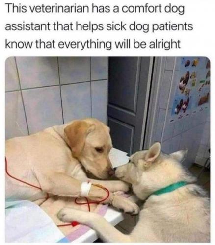 12:50:00 GMT-0700 (PDT).image