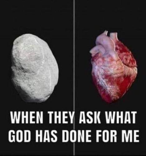 FB_IMG_1626454768378