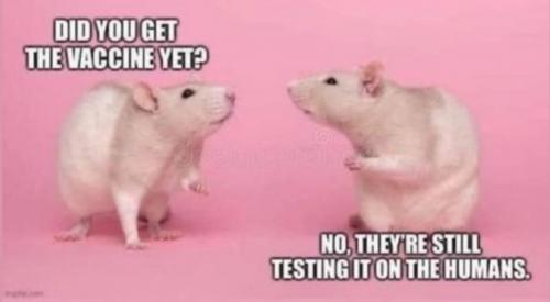 11:54:18 GMT-0400 (EDT)