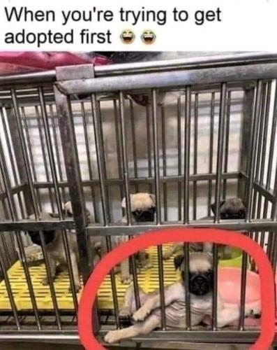 FB_IMG_1626416551263