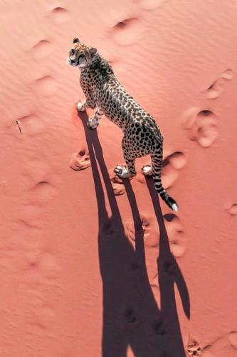 tumblr_95a451f1609610965be705389c4aaeca_dd56c532_540