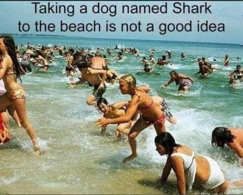 166196701_1136929743484740_2470601222236003960_n