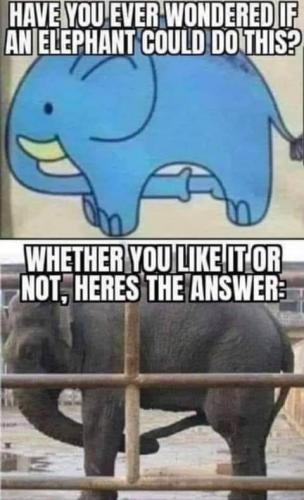 FB_IMG_1625357471543