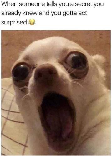 FB_IMG_1627104956815