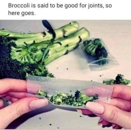 FB_IMG_1627775520596