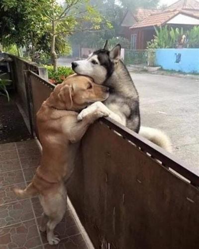 FB_IMG_1627134770248