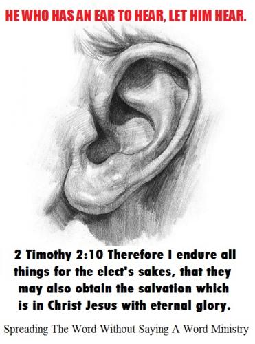 386129_262399910543972_1267818295_n - Copy (5) - Copy - Copy