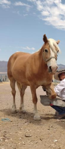 received_347844410085527~2