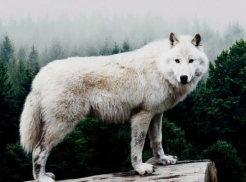 13:45:58 GMT-0500 (CDT)