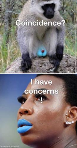 15:14:56 GMT-0500 (CDT)