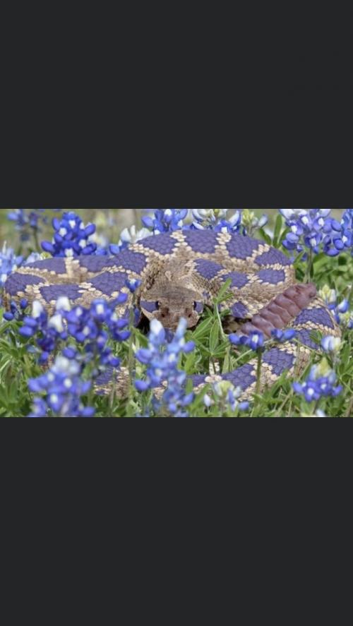 14:20:38 GMT-0500 (CDT).image