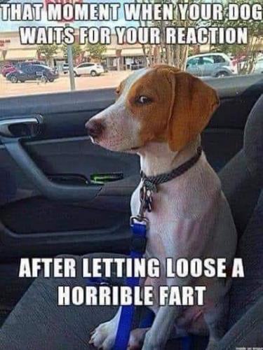 17:53:42 GMT-0700 (MST)