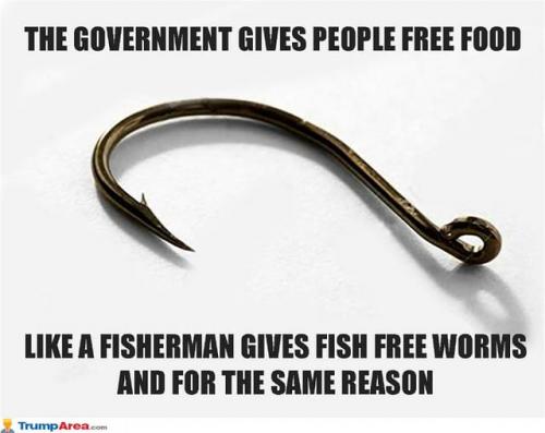 210619887_1302112036887981_2927763914757176943_n