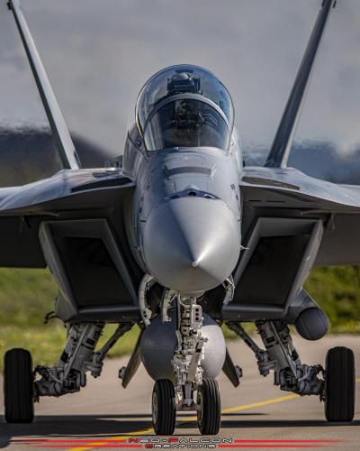 64328673_2383266485063790_381574536778219520_n