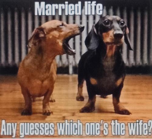 E14D9427-B17D-40FA-B9AC-0CB3E5FE055A