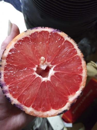 FB_IMG_1625950402095