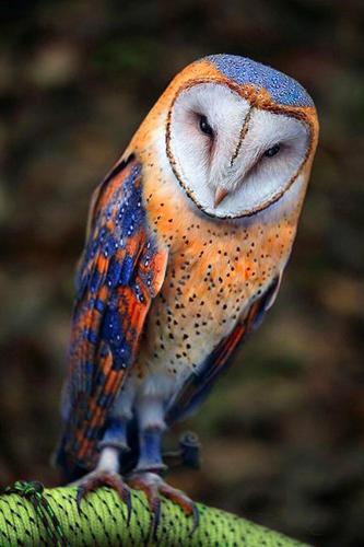 tumblr_e8dce47f5e8b968246e58b789119d326_b4291673_1280