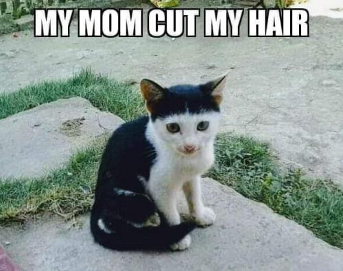 16:37:19 GMT-0500 (CDT)