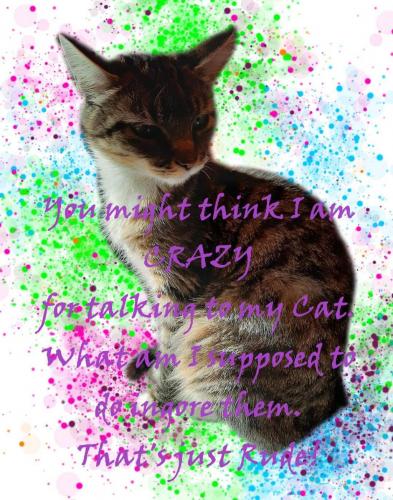 FB_IMG_1625948574109