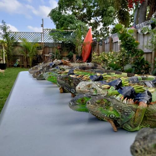 IMG_20210513_073109_691