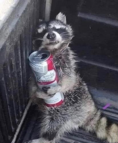 tumblr_762cb3de5de05fe7bebb725c50a21670_0018a1d5_1280