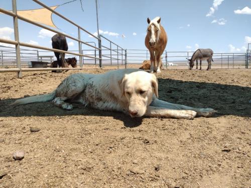 IMG_20210702_130205487