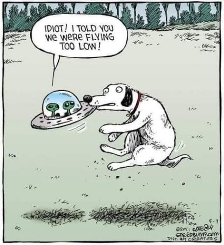 FB_IMG_1627593262129