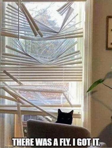 21:53:05 GMT-0700 (PDT).image