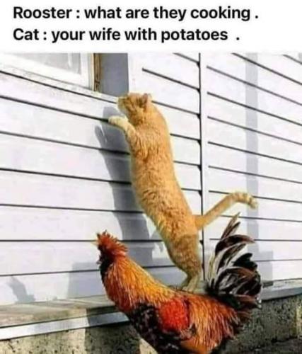 FB_IMG_1627067623081