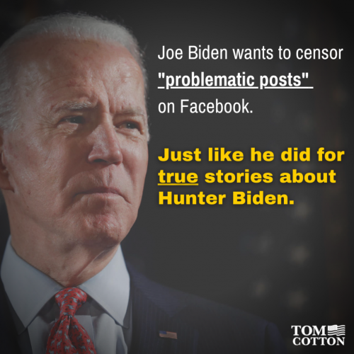 216350515_4367511739960718_8218231627167311517_n