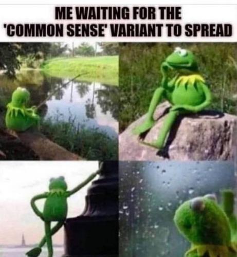 211338572_309880377510951_8667073935159625698_n