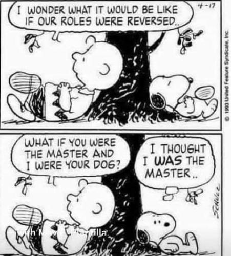 FB_IMG_1625722583234