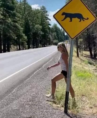 FB_IMG_1627605376622