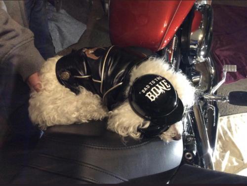 14:23:19 GMT-0400 (EDT).image