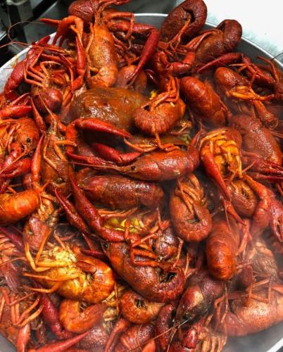 211942186_4534730669879843_2585033299737994426_n