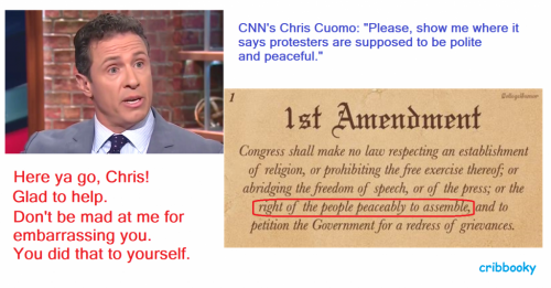 1st_amendment_peaceably