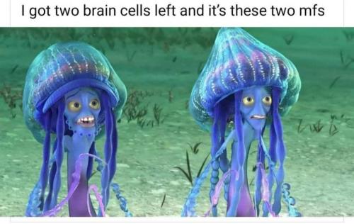 FB_IMG_1627176355417