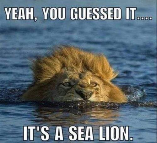 13:32:12 GMT-0400 (EDT)