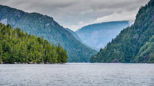 FB_IMG_1626164737694