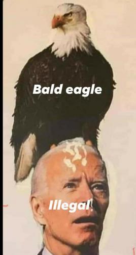 15:18:26 GMT-0400 (EDT)