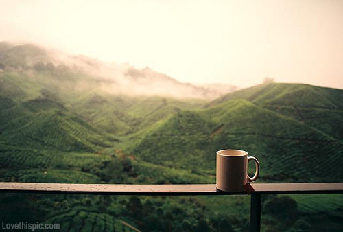 28561-Cup-Of-Coffee-Outdoors