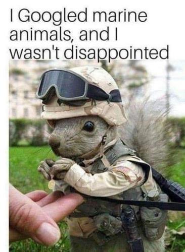 FB_IMG_1625415881129