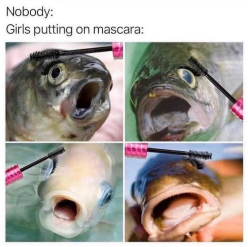 FB_IMG_1627419809228