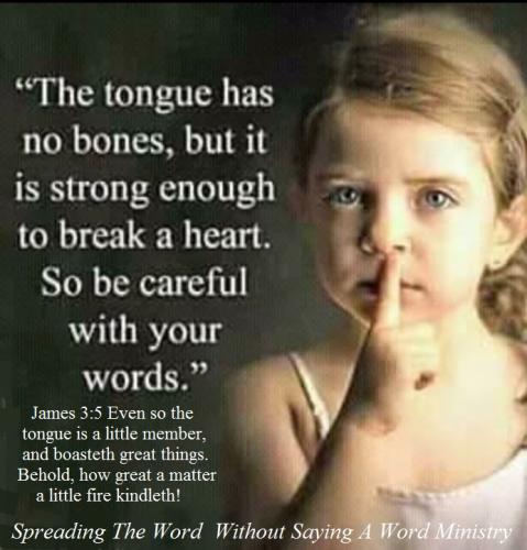 216292654_333488078389790_6941861539862300694_n