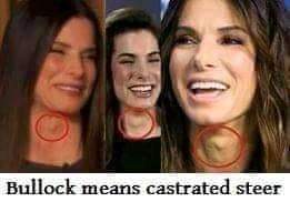 00:11:04 GMT-0500 (CDT)