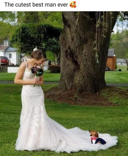 08:37:24 GMT-0400 (EDT)