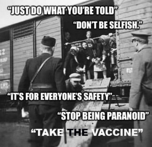 2547edd109cf3dec7a38b3a6644269af_500x0 (1)