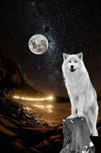 21:55:29 GMT-0500 (CDT)